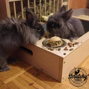 Nibbler Combo 4in1, bunny rabbit hay and food feeder with built in litter box and a free standing water bottle holder, hay rack, hay feeder image 6