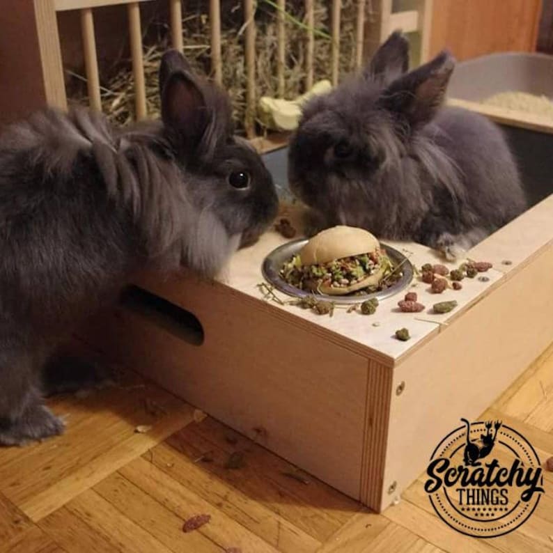 Nibbler Combo 4in1, bunny rabbit hay and food feeder with built in litter box and a free standing water bottle holder, hay rack, hay feeder image 6