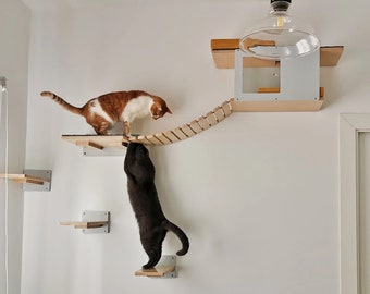 Wally Play Bundle Mini - Tunnel Mini, Bridge 12, Flat 35 & 3x1-Step -Set of wall-mounted cat shelves, ideal for small homes