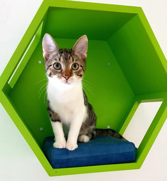 Wally Hex 25, Étagère pour chat, Étape pour chat, Cadeau pour chat, Maison pour  chat en nid d'abeille, Étagère d'escalade pour chat en bois, Perche pour  chat, Meubles muraux, Étagère hexagonale 