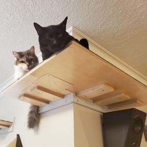 Wally Wraparound, Cat wrap around corner wall mounted shelf, Outside corner shelf