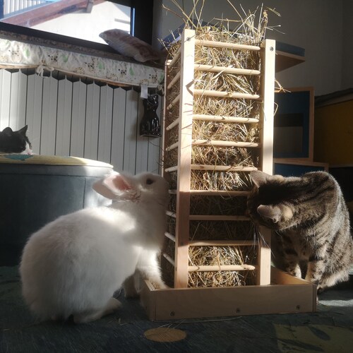 Nibbler Haytower Bunny Rabbit Hay Holder Hay Tower Hay Etsy