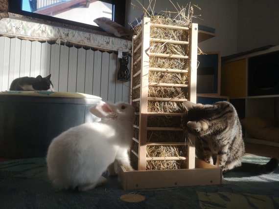 Nibbler Haytower Bunny Rabbit Hay Holder Hay Tower Hay Stand Hay Rack Hay Feeder Bunny Toy Bunny Furniture Hay Bin Hay Loft Etsy