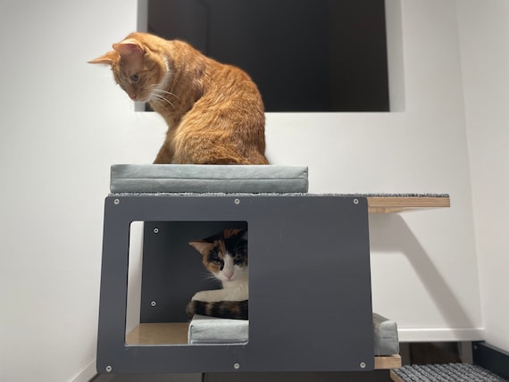 Wally Cornertunnel Cat Shelf Cat Activity Center Cat Perch Cat Gift Cat Bed Cat Gym Cat Bed Wall Mounted Cat Room Cat Wall Etsy