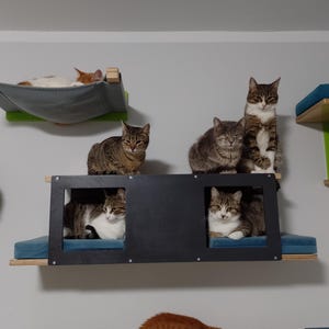 Wally Tunnel Upside-Down, Estante de pared para gatos con 2 cómodos cojines, ideal para montar sobre un televisor