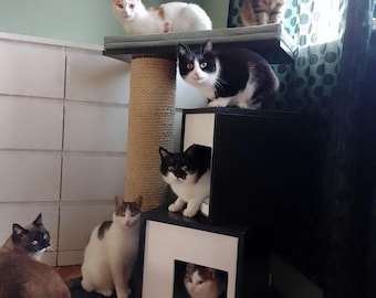 Boxy Duo 35 - Cat tree, Cat tower, Scratching post with 2 houses and a big perch on top