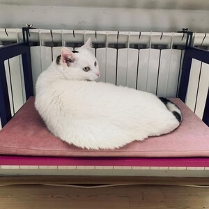 yellow goyard dog collar