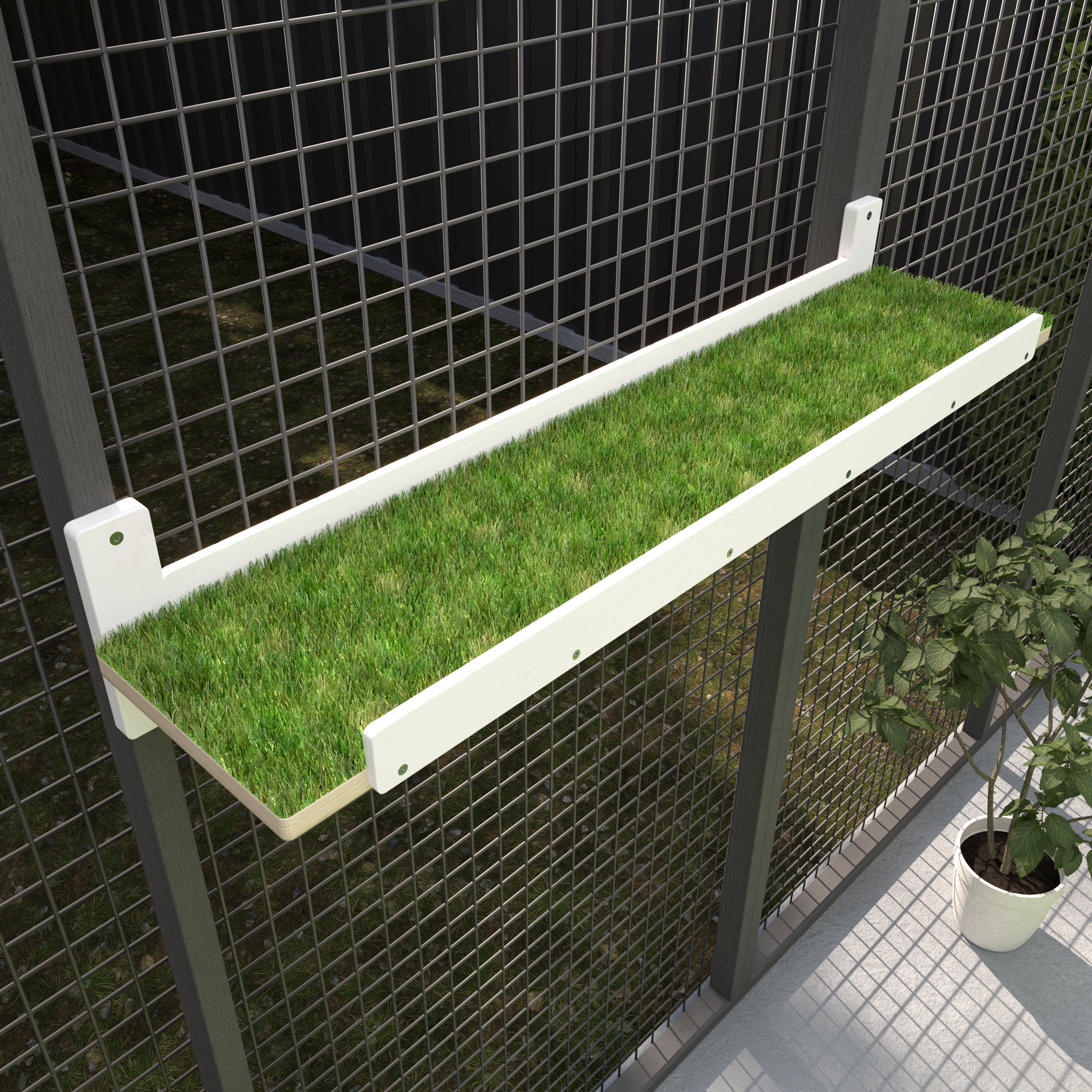 Catio Walkway: plataforma fija para gatos al aire libre, estante para gatos con recinto al aire libre