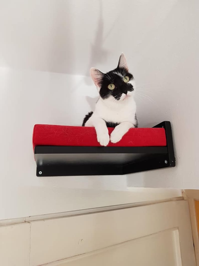 Wally Corner Cat Shelf Cat Step Cat Climber Wall Mounted Etsy