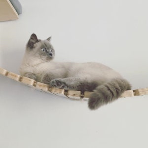Wally Bridge (Solo - Solo mount), Cat bridge, Wall mounted, Cat Playground, Connecting bridge, Cat Walkway, Cat boardwalk, Cat gym, Shelf