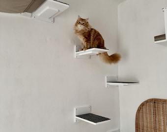 Wally Giant 1-Step 4-pack, 4 extra big cat stairs for large and chonky cats