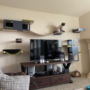 Paquete naranja: Wally 1-Step, Corner Plus, Flat Plus, Flat 35, Bridge 20, Tunnel, Stacker; Estante para gatos, Cama para gatos, Gimnasio para gatos, Percha para gatos, Habitación para gatos