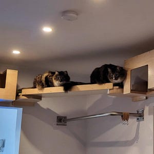 Wally Plank, Rampa para gatos, Puente para gatos, Montaje en pared, Zona de juegos para gatos, Puente de conexión, Pasarela para gatos, Gimnasio para gatos, Pasarela para gatos, Estante de barandilla