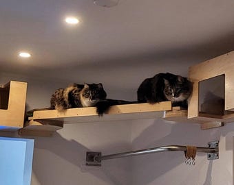 Wally Plank, Cat Ramp Cat bridge, Wall mounted, Cat Playground, Connecting bridge, Cat Walkway, Cat gym, Cat boardwalk, Railing Shelf