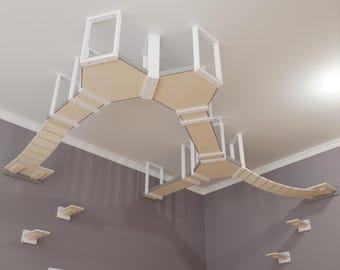 Wally SkyWalk bundle - ceiling-mounted cat shelf, feline highway, walkway