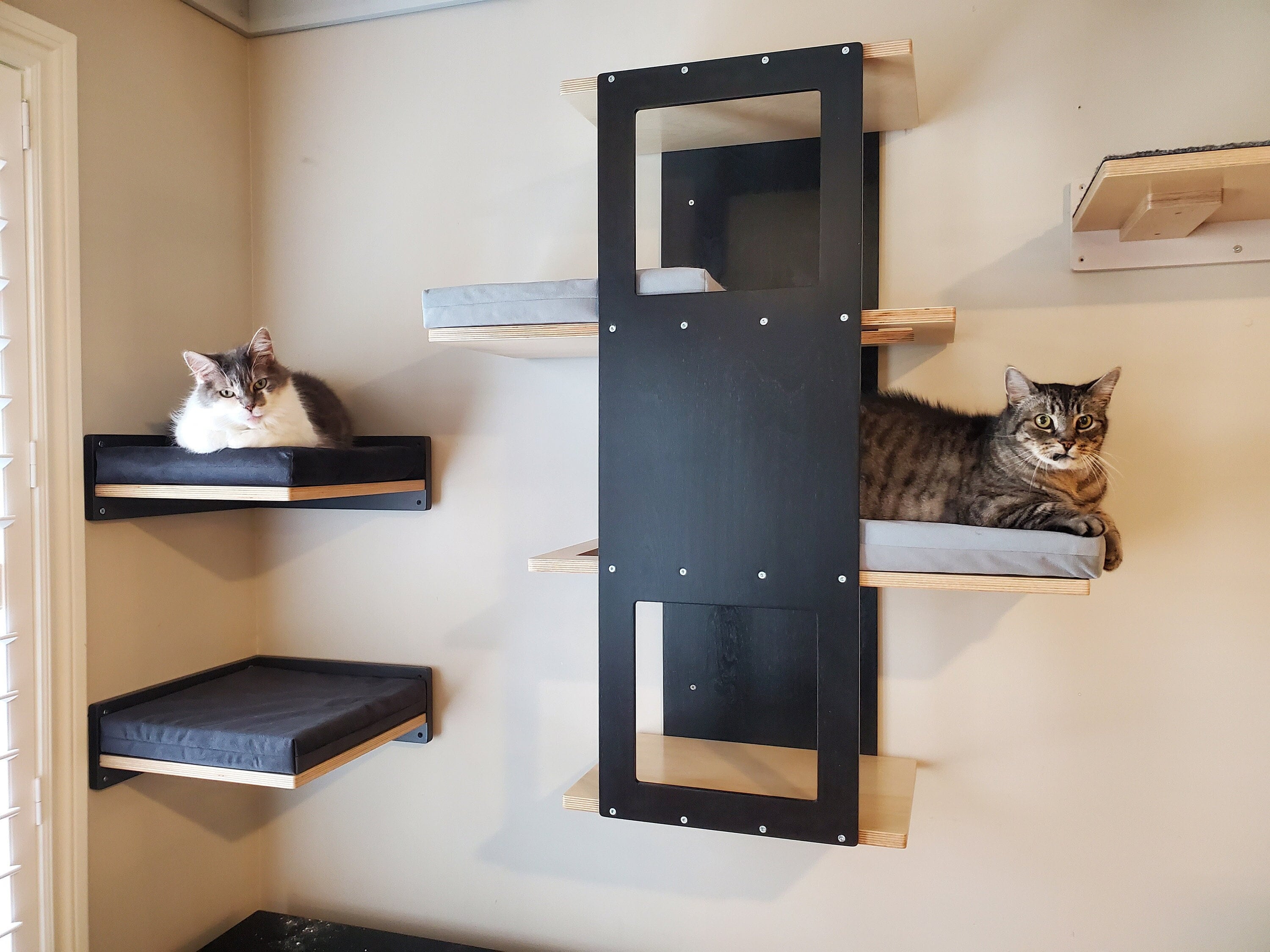 Jouet Pour Chat En Bois Naturel - Three cozy cats