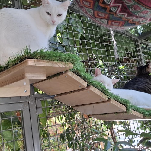 Catio WideBridge, Outdoor Cat bridge with wide slats (1-Step - 1-Step mount)