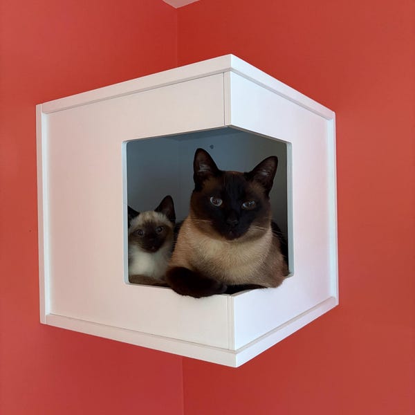 Wally CornerBox - corner mounted cat house, shelf for cats with a cushion inside