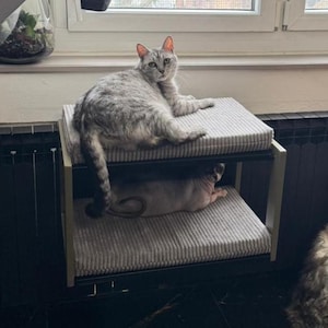 Toasty BigCat Twin Flat- cat radiator bed, heather hanger on two levels with comfortable cushions