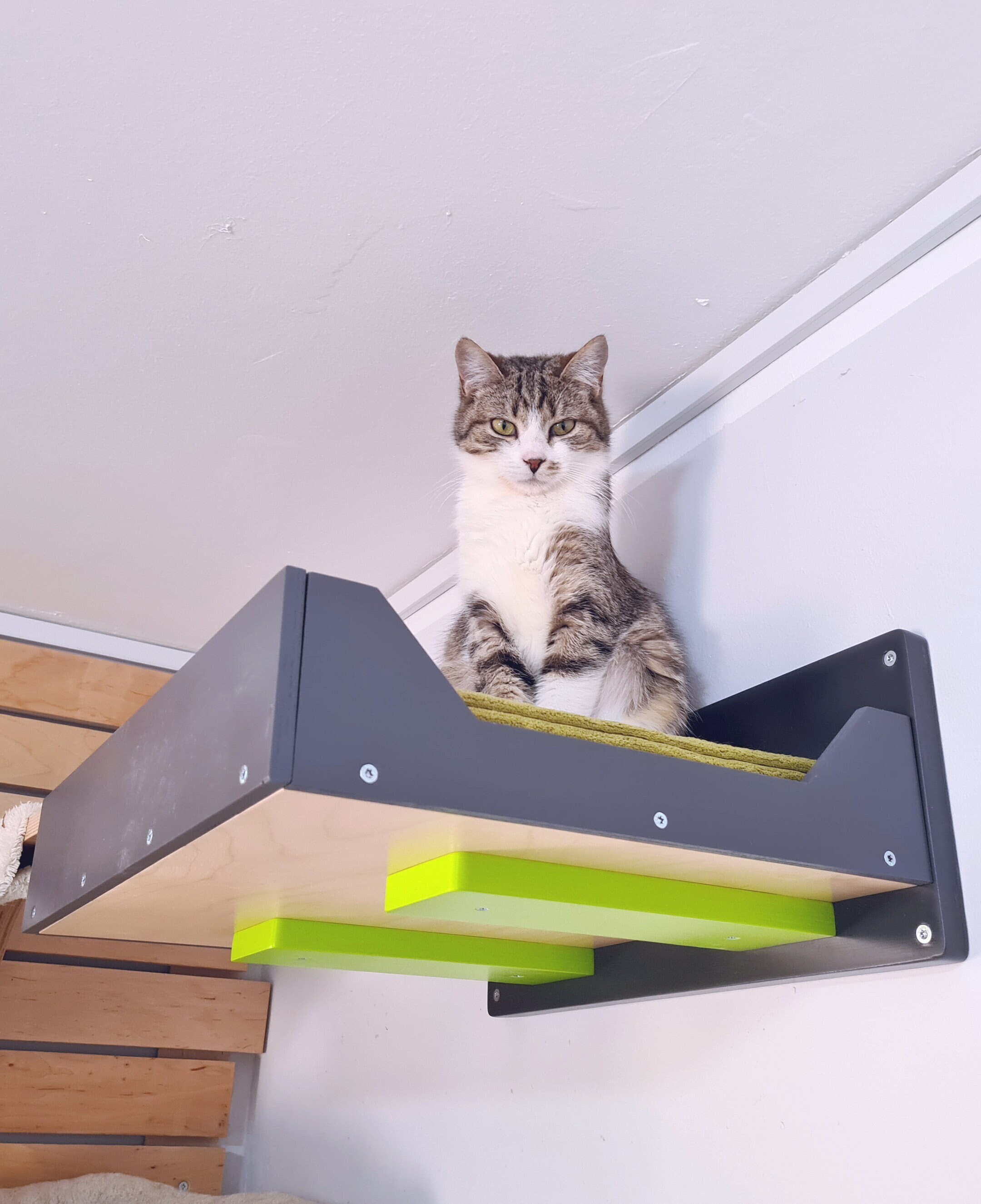 キャットウォーク 壁掛け式猫用ステップ 猫家具 木製吊り橋DIY