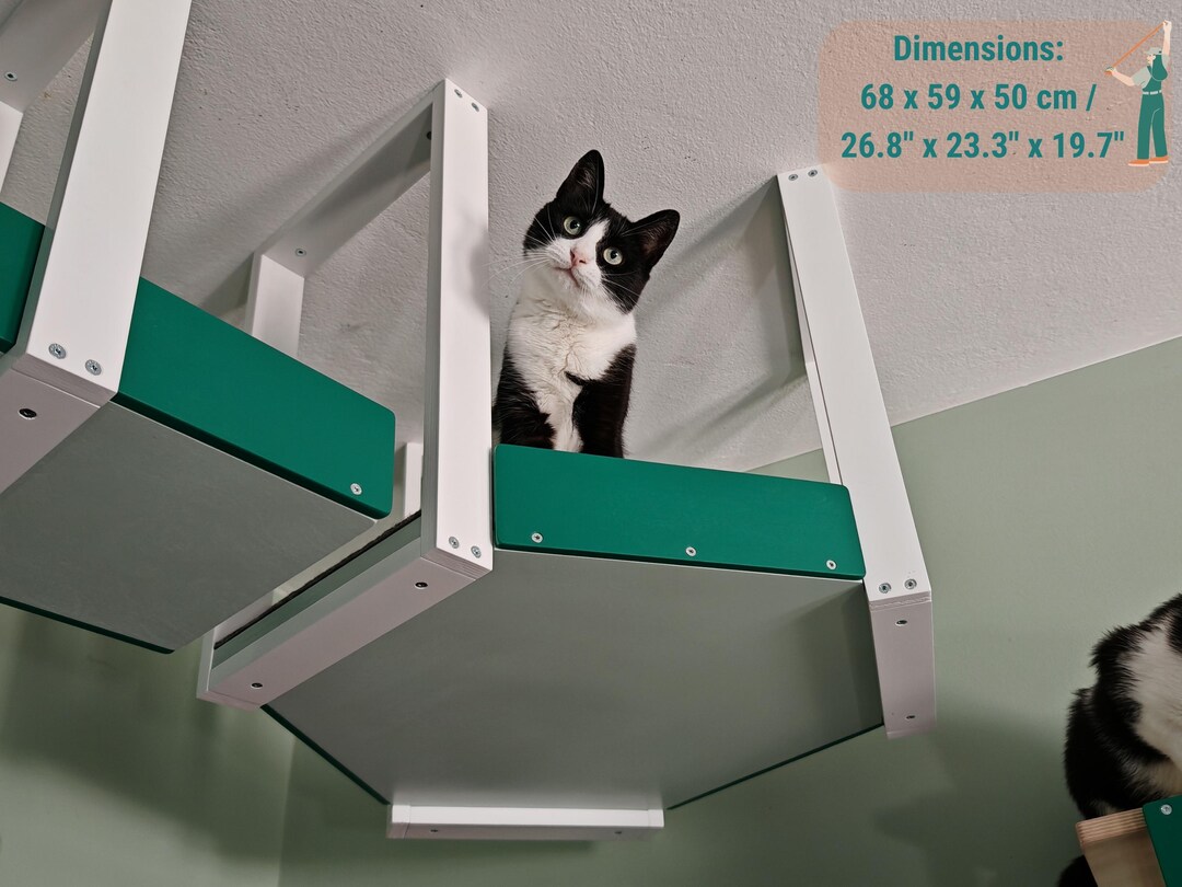 Wally Skyhex - Ceiling-mounted Cat Shelf, Hexagonal Hub for Multi-way ...