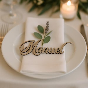 Tarjeta de lugar de boda, tarjetas de mesa de lugar de boda personalizadas, nombres cortados con láser, configuración de lugar, tarjetas con nombres de boda, nombres de lugar, decoración de mesa