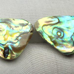 May include: Two iridescent abalone shell pieces with a triangular shape. The shells display a mix of colors, including blues, greens, yellows, and browns, with a shimmering, textured surface. The shells are set against a light gray background.