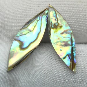 May include: Two iridescent abalone shell pieces, each in a teardrop shape. The shells display a mix of colors, including blues, greens, and yellows, with a pearlescent sheen. The shells are set against a white background.