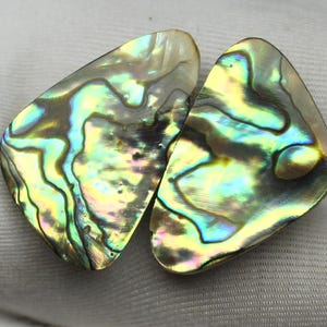 May include: Two iridescent abalone shell pieces with a pearlescent sheen. The shells display a mix of colors, including green, blue, yellow, and brown, with a swirling pattern. The shells are set against a white background.