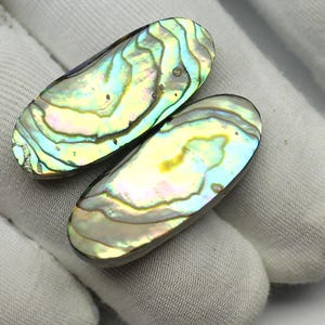 May include: Two iridescent abalone shell cabochons. The shells display a vibrant array of colors, including blues, greens, yellows, and purples, with a swirling, textured pattern. The oval-shaped shells are set against a white background.