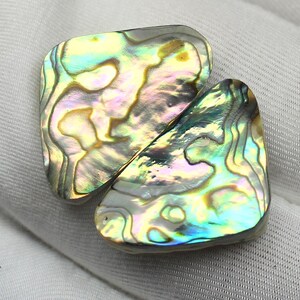 May include: Two iridescent abalone shell pieces with swirling patterns of green, yellow, and purple. The shells have a smooth, polished surface and are set against a white background.