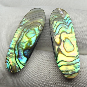 May include: Two iridescent abalone shell pieces. The oval-shaped shells display a vibrant array of colors, including blues, greens, and yellows, with a pearlescent sheen. The shells have a natural, wavy pattern.