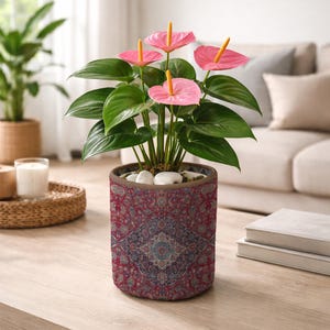 May include: A potted anthurium plant with vibrant pink flowers and green leaves. The plant is in a cylindrical pot with a red, blue, and beige patterned design. White stones top the soil. The pot sits on a wooden table.