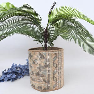 Puede incluir: Una maceta cilíndrica tejida con una planta verde. La maceta tiene un diseño beige y gris. La planta tiene hojas largas, verdes y parecidas a helechos. Un tallo floral azul está en el lado izquierdo de la maceta.
