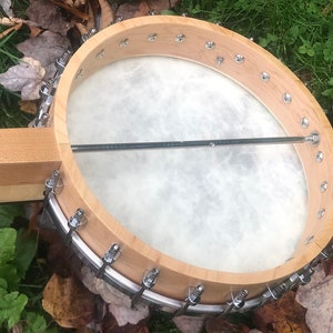 Open-back 5-string Banjo: Wildflower Meadow design image 6