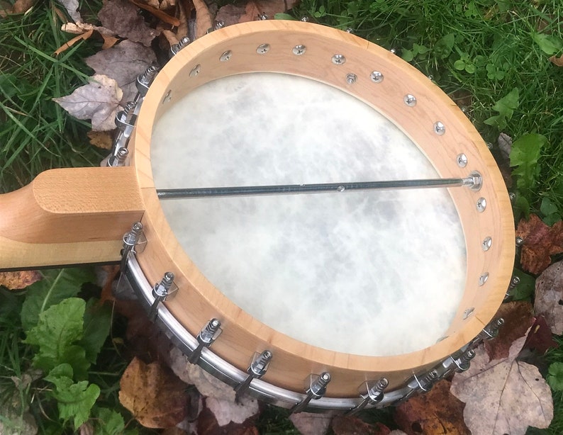 Open-back 5-string Banjo: Wildflower Meadow design image 6