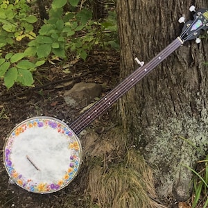 Minstrel Banjo hybrid: Appalachian Meadow design