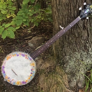 Minstrel Banjo hybrid: Appalachian Meadow design