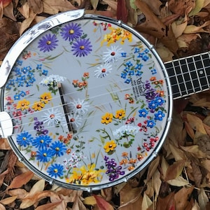 Hand-painted banjolele, concert or tenor: Wildflower Meadow design