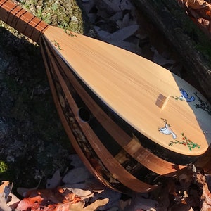 May include: A wooden stringed instrument with a light brown body and a black and brown striped back. The instrument has a decorative design of white birds and green vines on the body.
