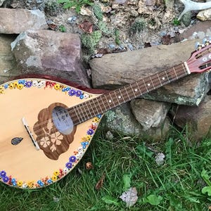 Mandola - Wildflower Border design