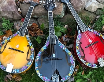 Hand-painted mandolin: Wildflower Meadow design