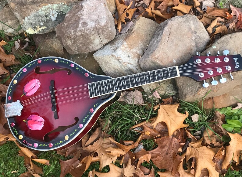 Hand-painted Mandolin: Rose Design - Etsy