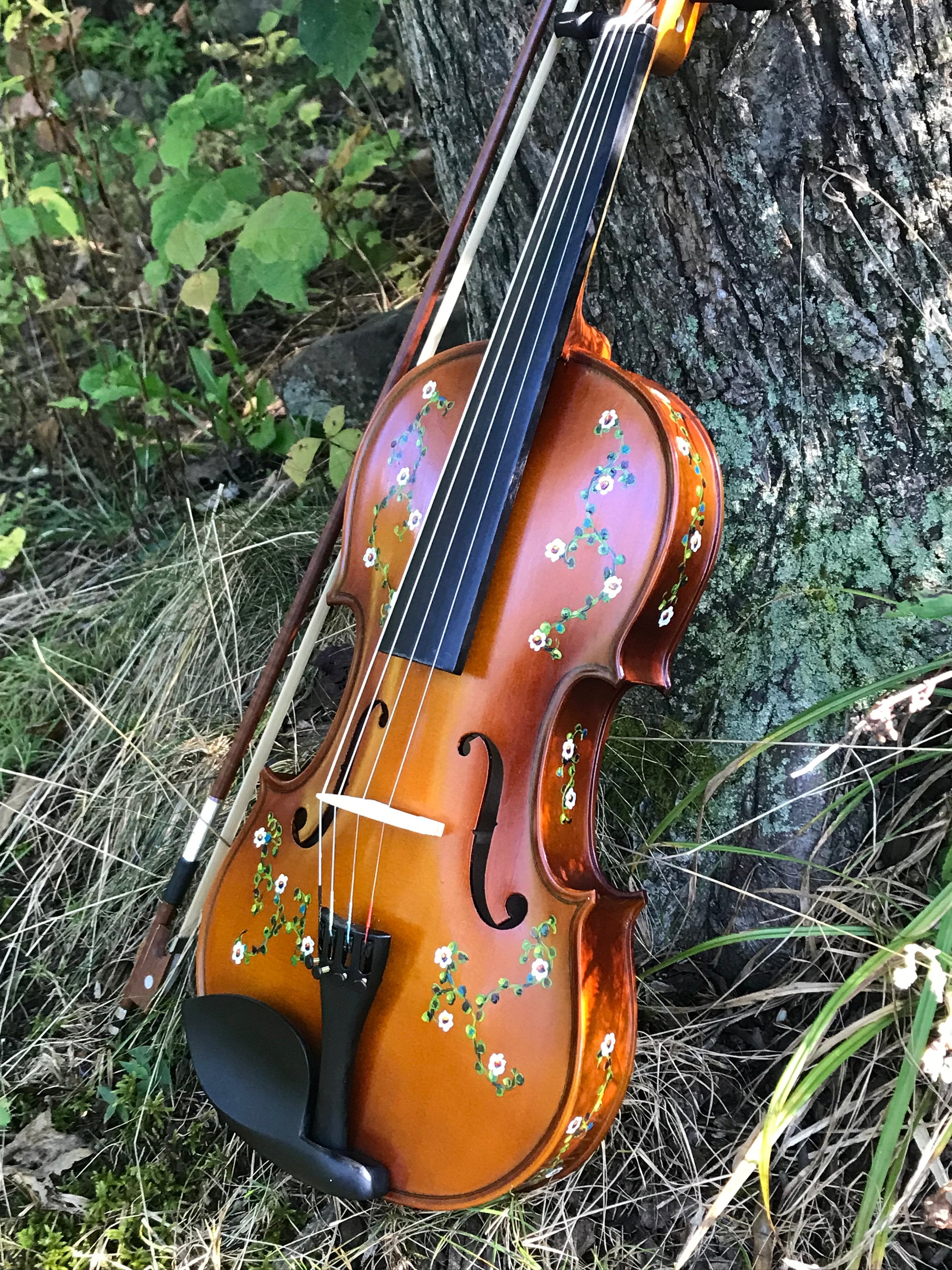 astronaut fusion svag Custom-painted Violin or Viola: Daisy Vine Design - Etsy