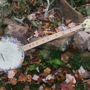 Open-back 5-string Banjo: Wildflower Meadow design image 3