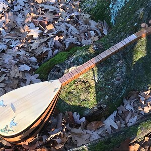 May include: A wooden stringed instrument with a pear-shaped body and a long neck. The body is decorated with black stripes and white doves with green branches. The instrument is lying on a bed of brown leaves.
