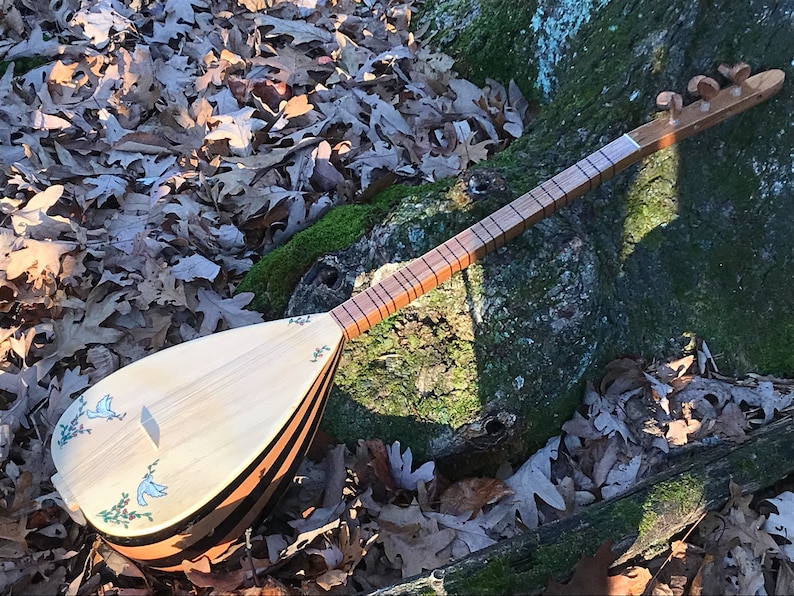 May include: A wooden stringed instrument with a pear-shaped body and a long neck. The body is decorated with black stripes and white doves with green branches. The instrument is lying on a bed of brown leaves.