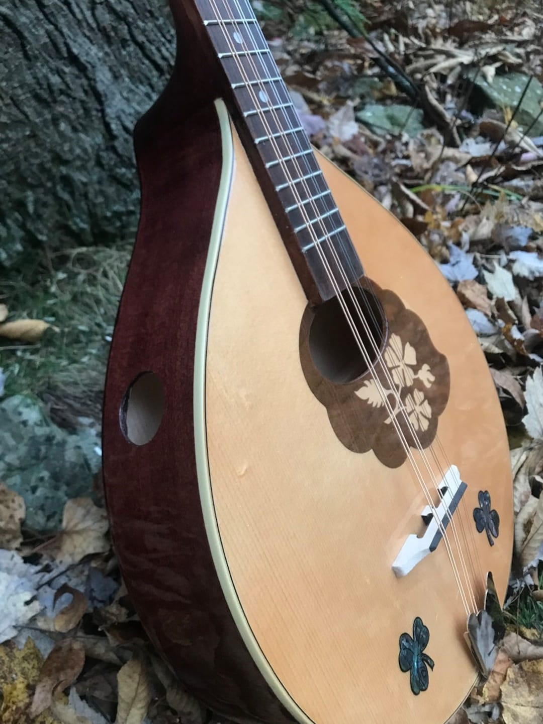 Irish Bouzouki Shamrock Design Etsy