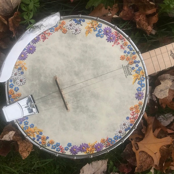 Open-back 5-string Banjo: Wildflower Meadow design