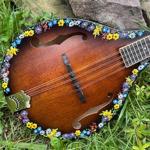 May include: A brown mandolin with a floral design around the edges. The instrument has a dark brown body with a light brown soundboard. The floral design includes yellow, blue, and red flowers. The mandolin rests on a bed of green grass.